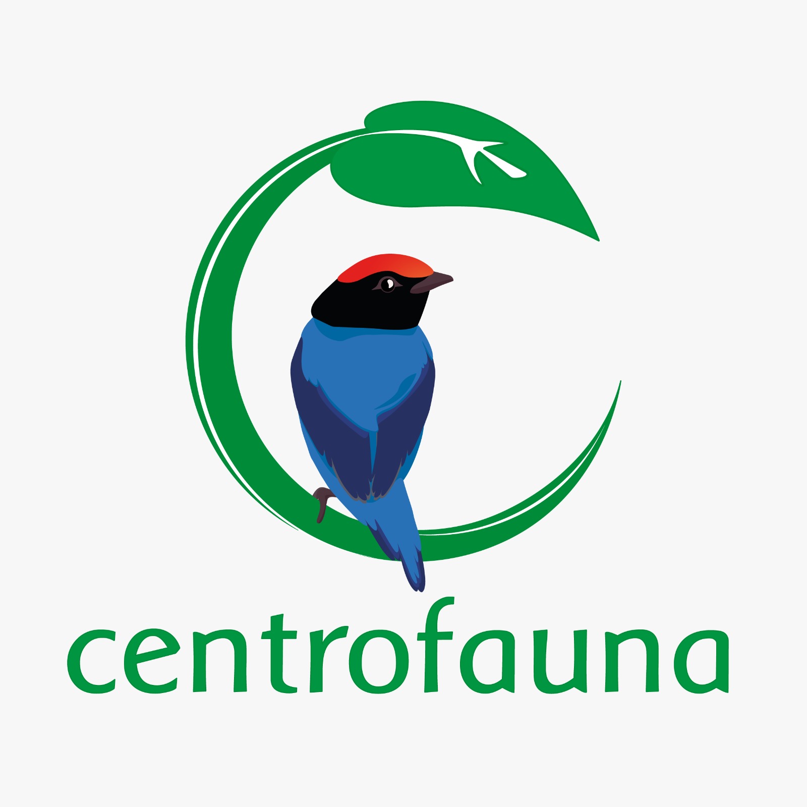 logo centrofauna
