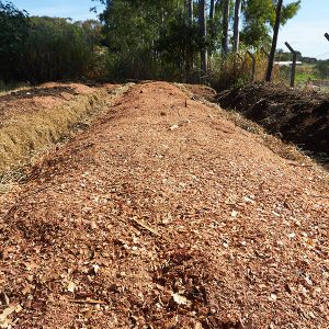 PAGINA-PARA-SUA-EMPRESA